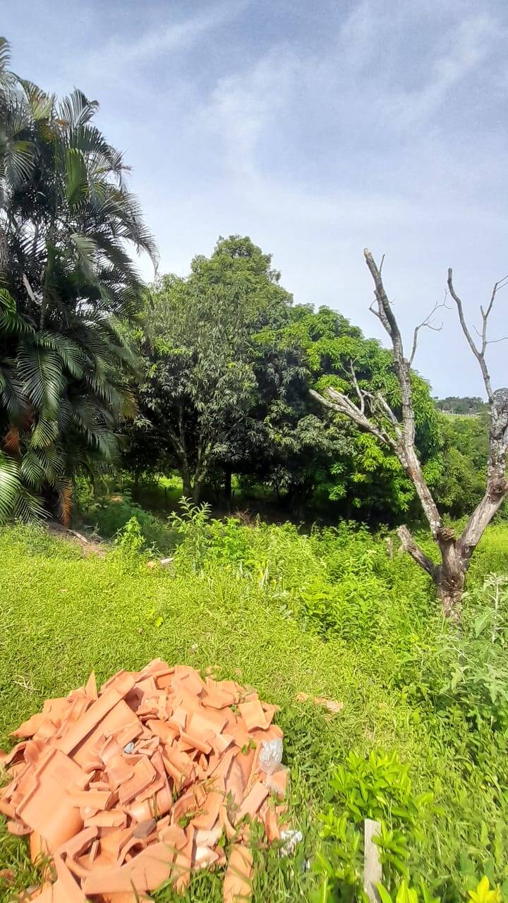 Chácara, 2 quartos, 5217 m² - Foto 5