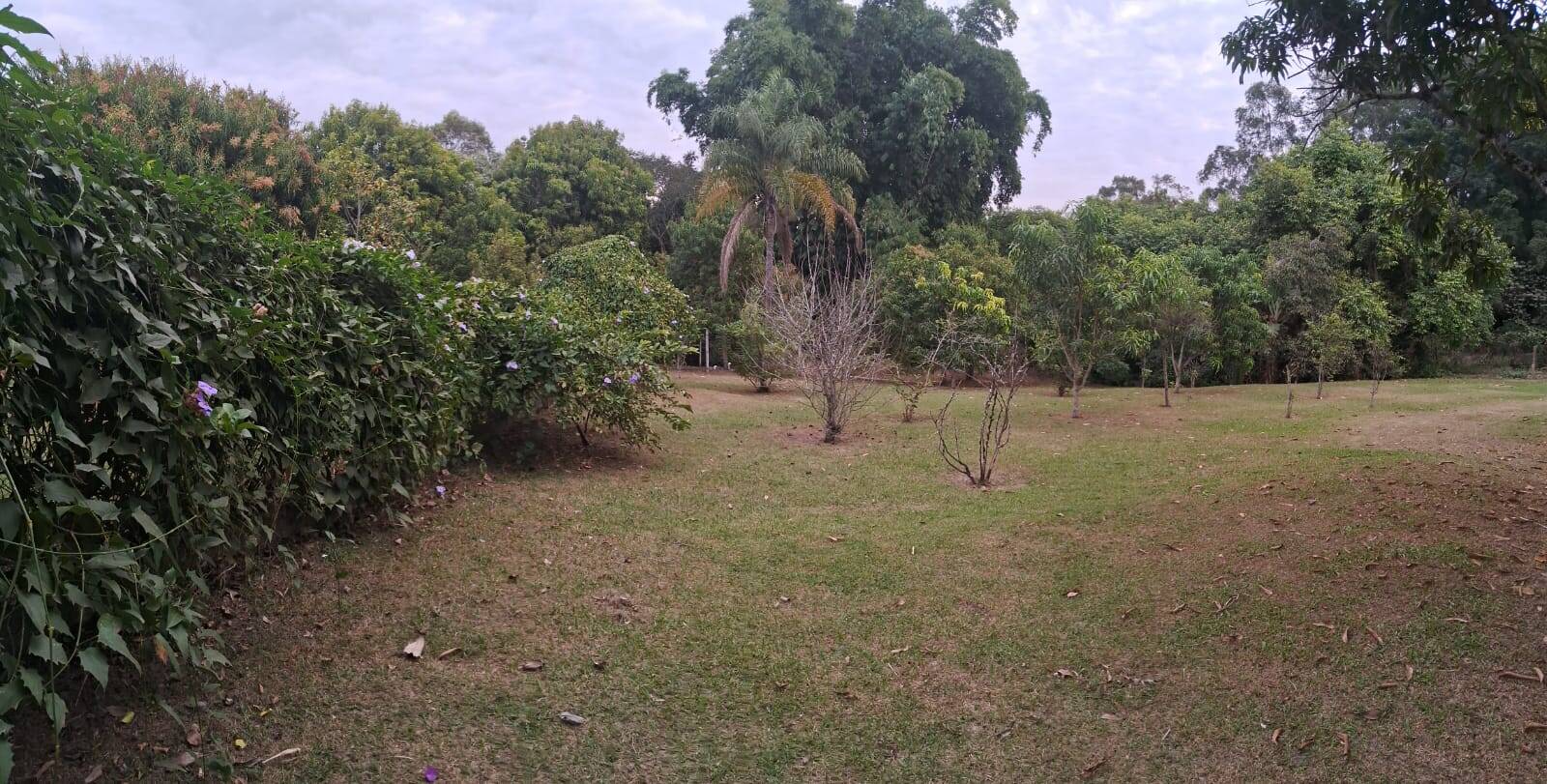 Prédio Inteiro, 370 m² - Foto 6