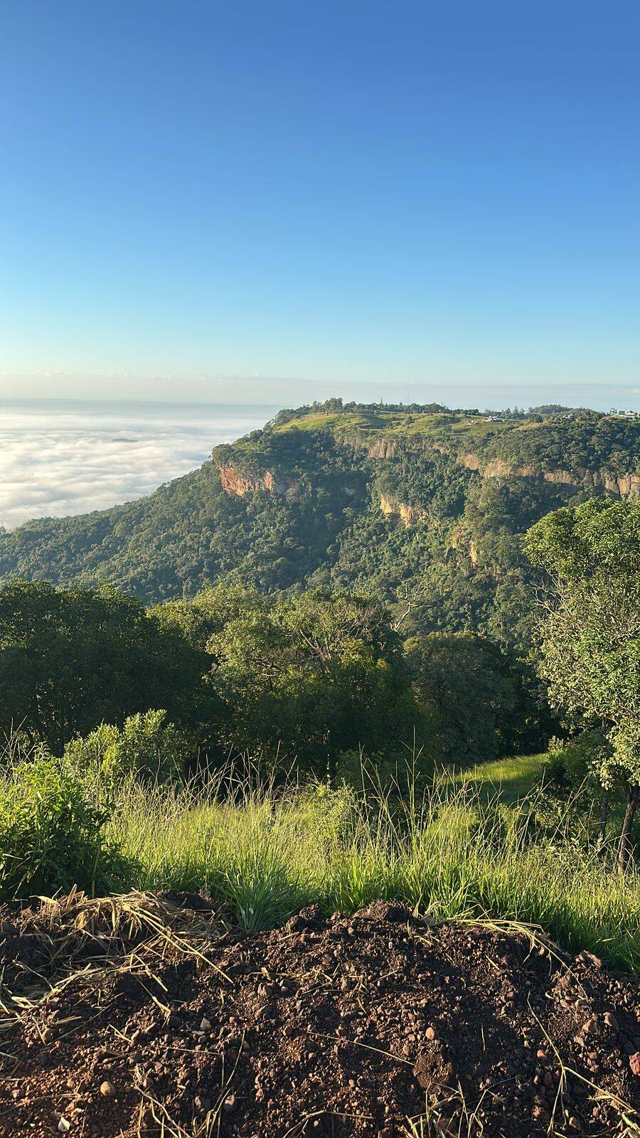 Terreno, 2 hectares - Foto 1