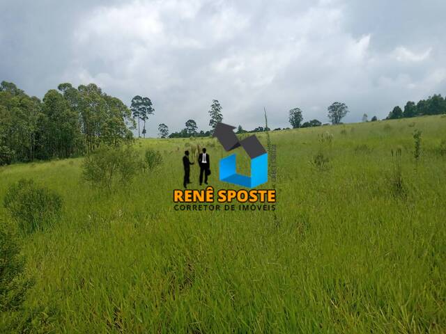 Sítio para Venda em São Pedro - 4