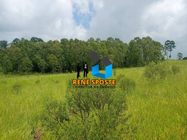 Sítio para Venda em São Pedro - 5