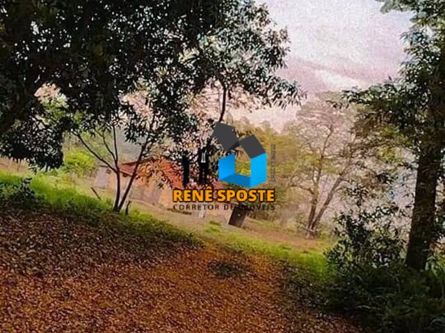 Sítio para Venda em São Pedro - 5