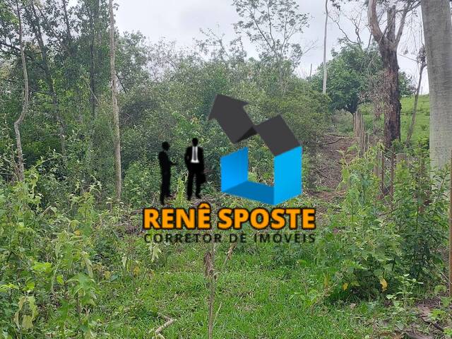 Sítio para Venda em São Pedro - 4