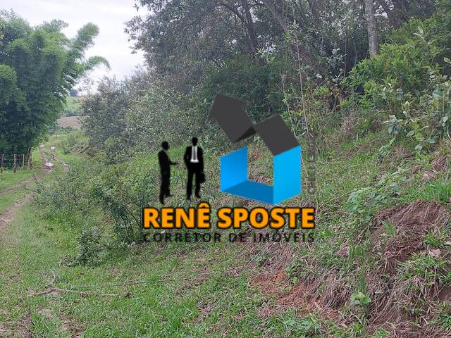 Sítio para Venda em São Pedro - 5