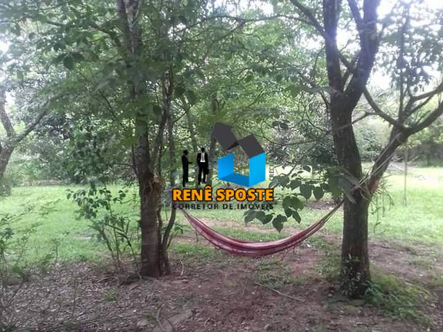 Chácara para Venda em São Pedro - 5