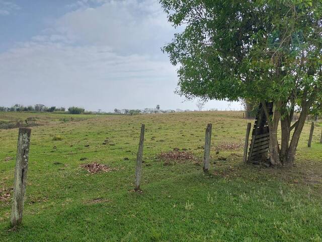 Sítio para Venda em São Pedro - 5