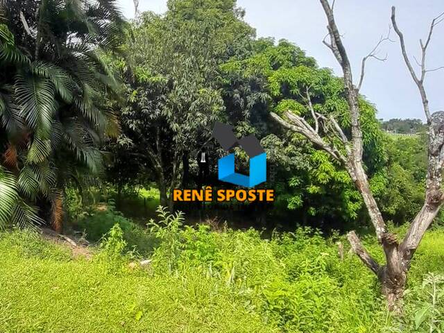 Chácara para Venda em São Pedro - 5