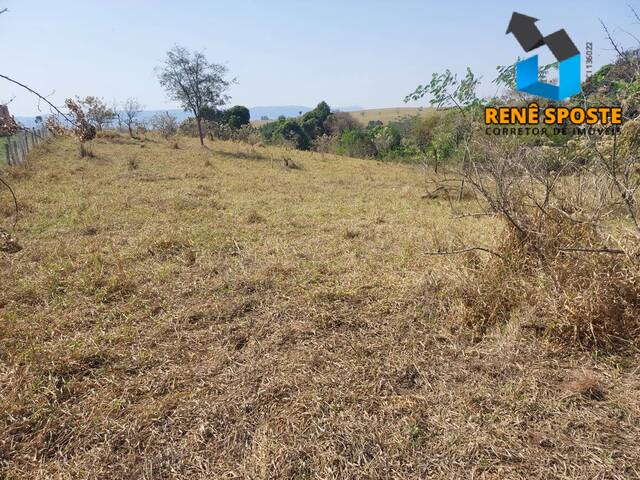Terreno para Venda em São Pedro - 4