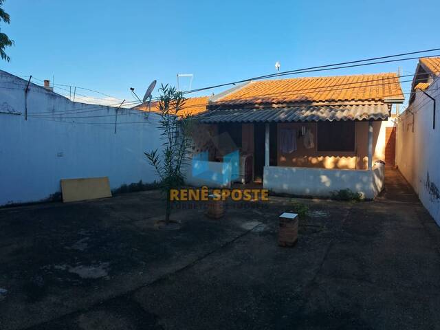 Quintal