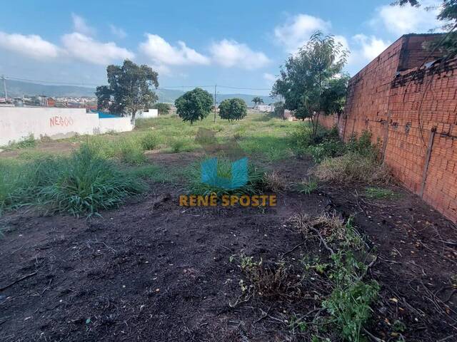 Terreno para Venda em São Pedro - 4