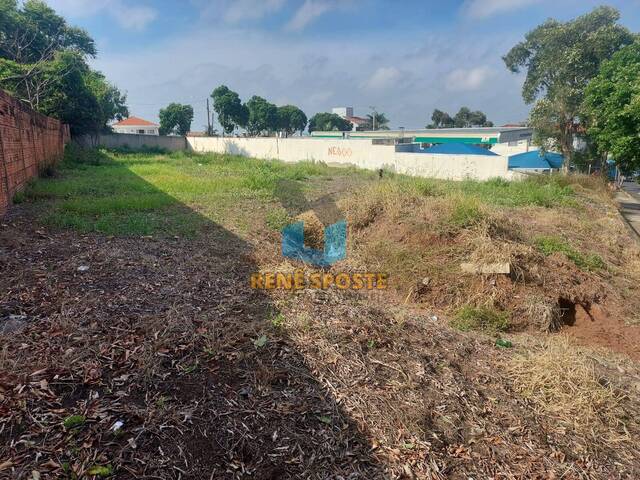 Terreno para Venda em São Pedro - 5
