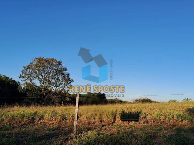 #TR872 - Terreno para Venda em São Pedro - SP