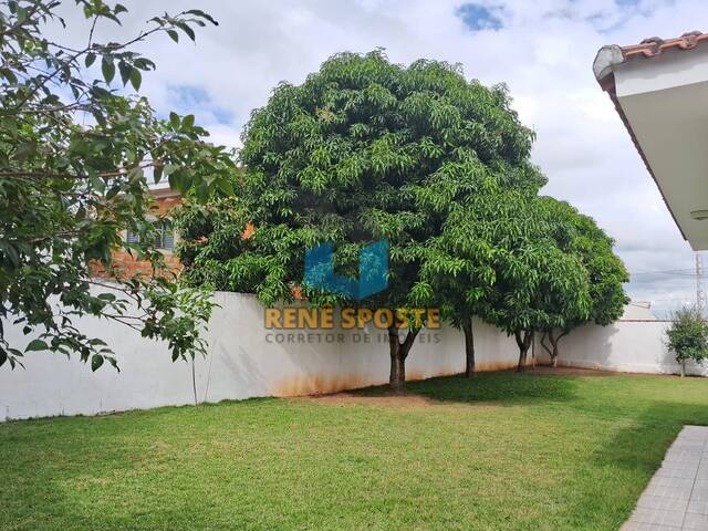 Quintal