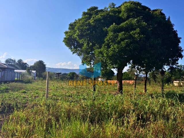 #TR890 - Terreno para Venda em São Pedro - SP