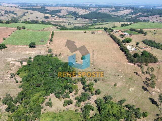 Sítio para Venda em São Pedro - 4