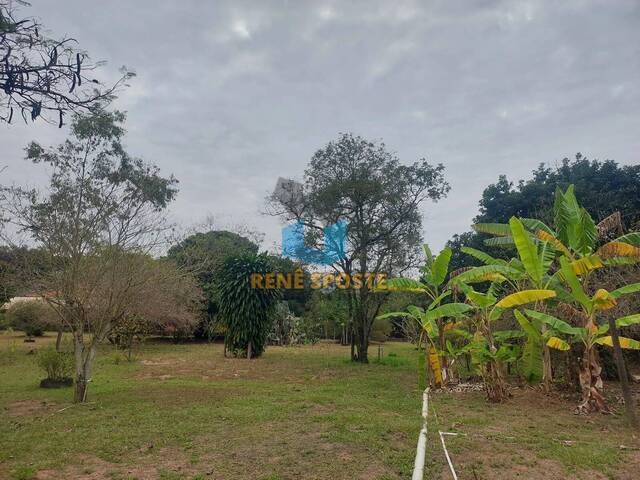 #CH900 - Chácara para Venda em São Pedro - SP