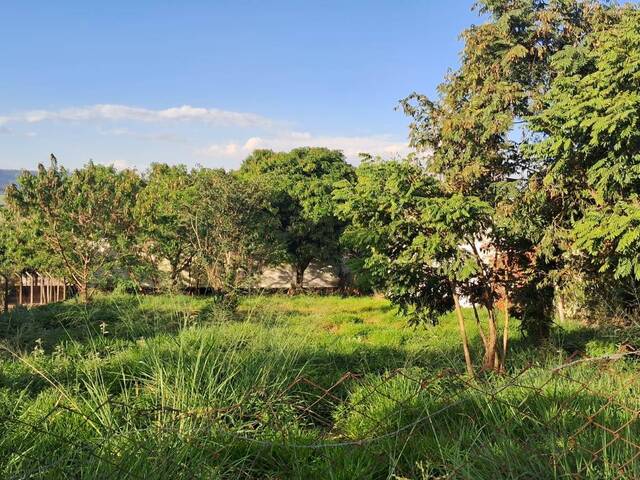 #TR906 - Terreno para Venda em São Pedro - SP
