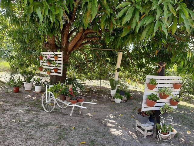 #CH907 - Chácara para Venda em São Pedro - SP