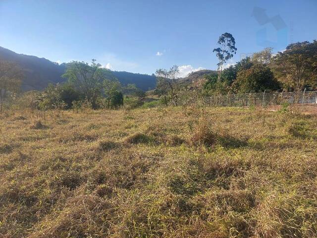 Terreno para Venda em São Pedro - 4