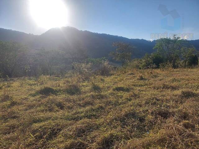 #TR930 - Terreno para Venda em São Pedro - SP