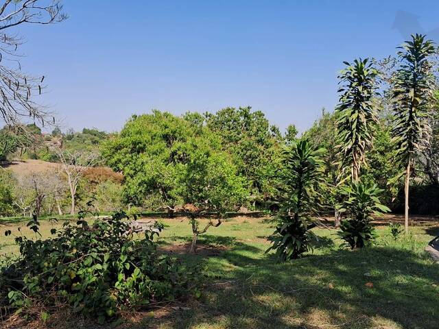 Chácara para Venda em São Pedro - 4