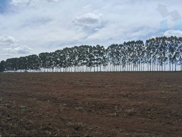 #ST688 - Sítio para Venda em São Pedro - SP - 2