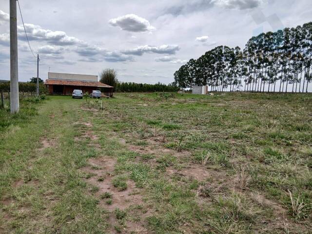 Sítio para Venda em São Pedro - 4