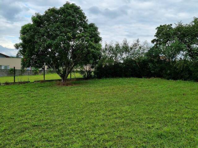 #TR973 - Terreno em condomínio para Venda em São Pedro - SP - 1