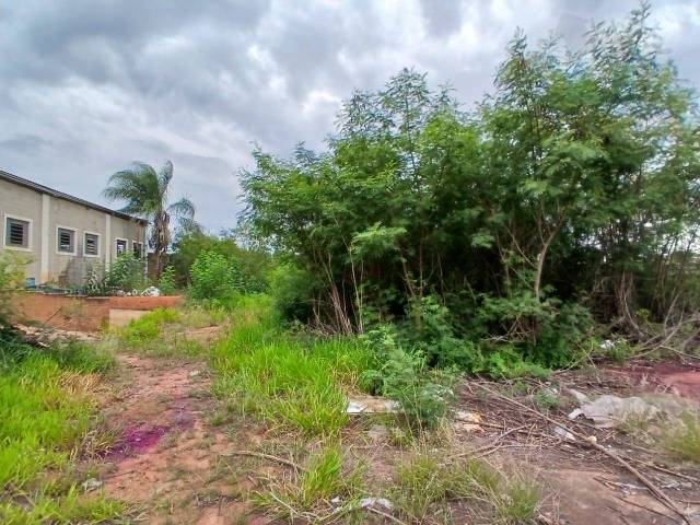 Barracão para Venda em São Pedro - 5