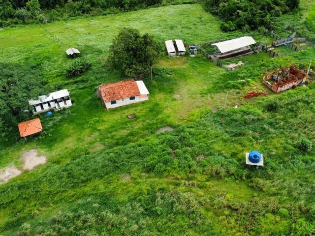 #ST982 - Sítio para Venda em São Pedro - SP - 3