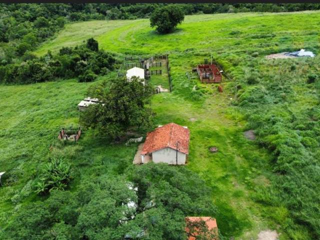 #ST982 - Sítio para Venda em São Pedro - SP - 2