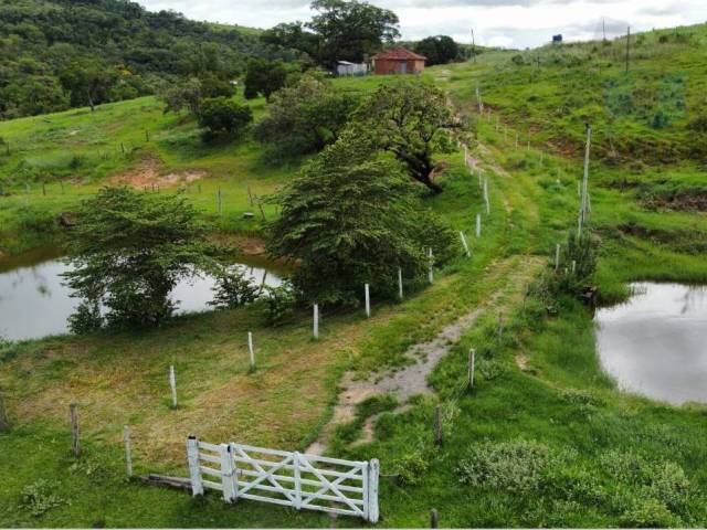#ST982 - Sítio para Venda em São Pedro - SP - 1