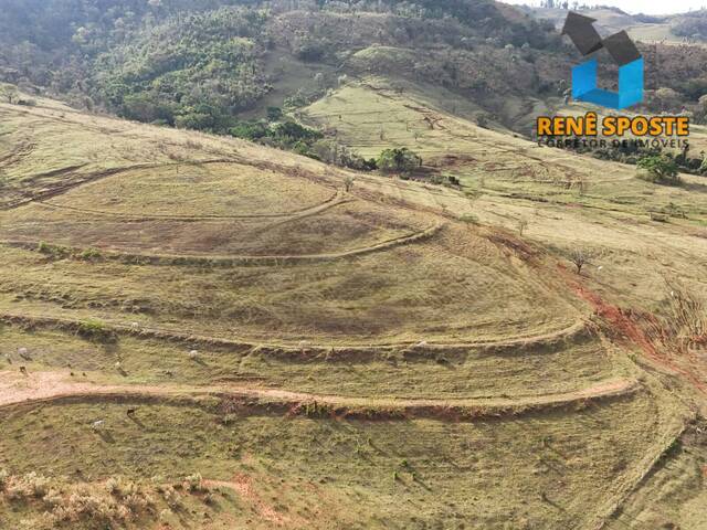#FZ1016 - Fazenda para Venda em Torrinha - SP - 2
