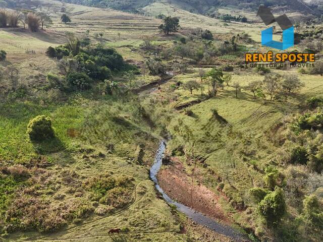 #FZ1016 - Fazenda para Venda em Torrinha - SP - 3