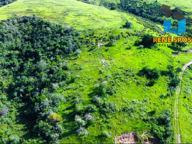 #ST1017 - Sítio para Venda em São Pedro - SP