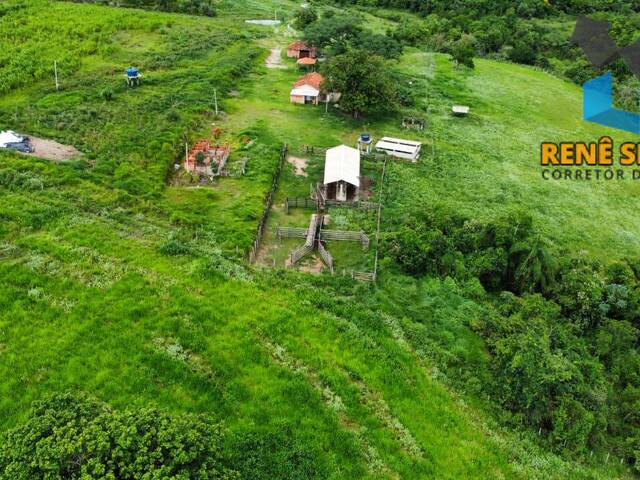 #ST1017 - Sítio para Venda em São Pedro - SP