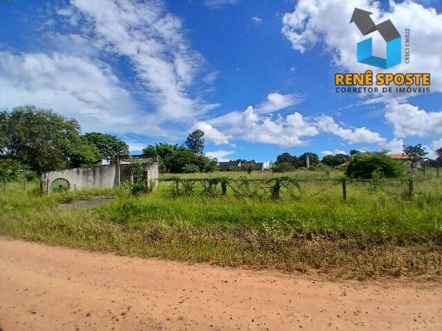 #CH1028 - Chácara para Venda em São Pedro - SP - 3