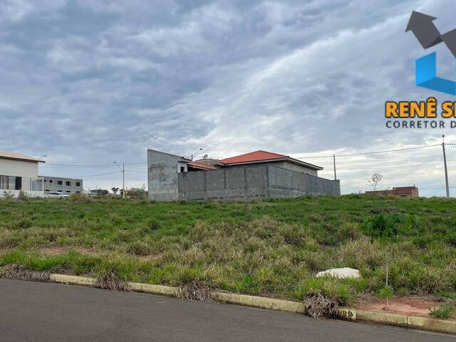#TR1044 - Terreno para Venda em São Pedro - SP - 3