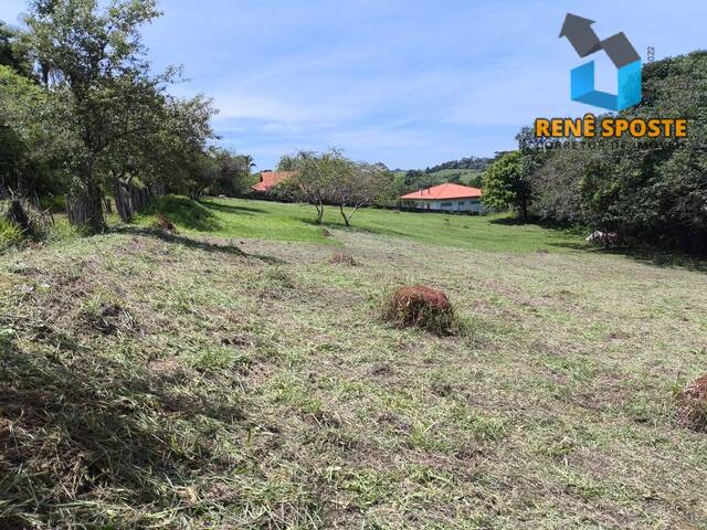 Terreno para Venda em São Pedro - 4