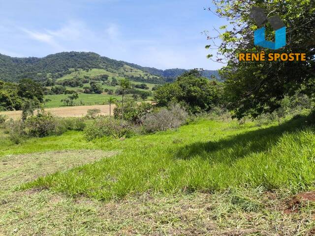 Terreno para Venda em São Pedro - 5