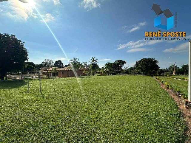 Chácara para Venda em São Pedro - 4