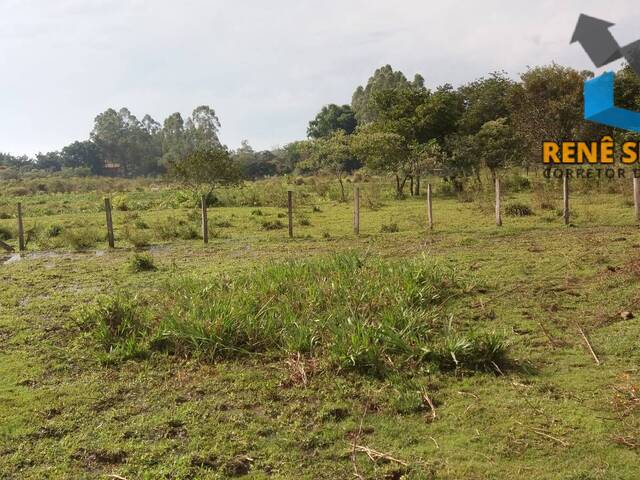 #ST1083 - Sítio para Venda em São Pedro - SP - 3