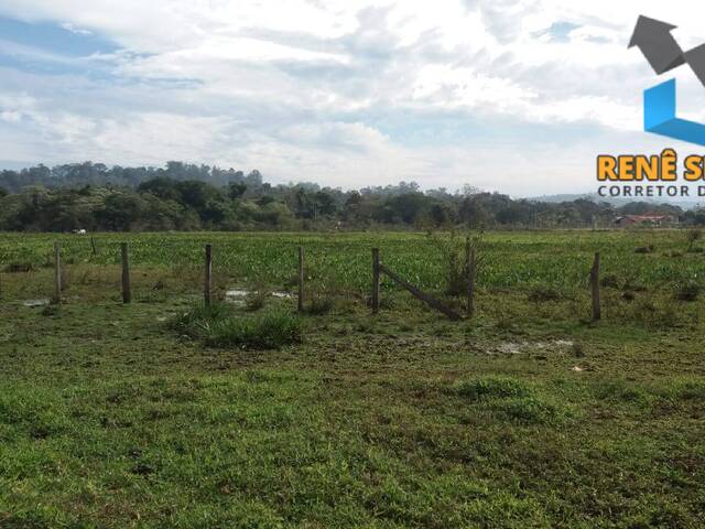 #ST1083 - Sítio para Venda em São Pedro - SP - 2