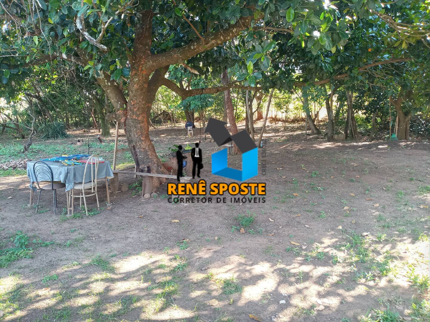 Chácara, 3 quartos, 5000 m² - Foto 10