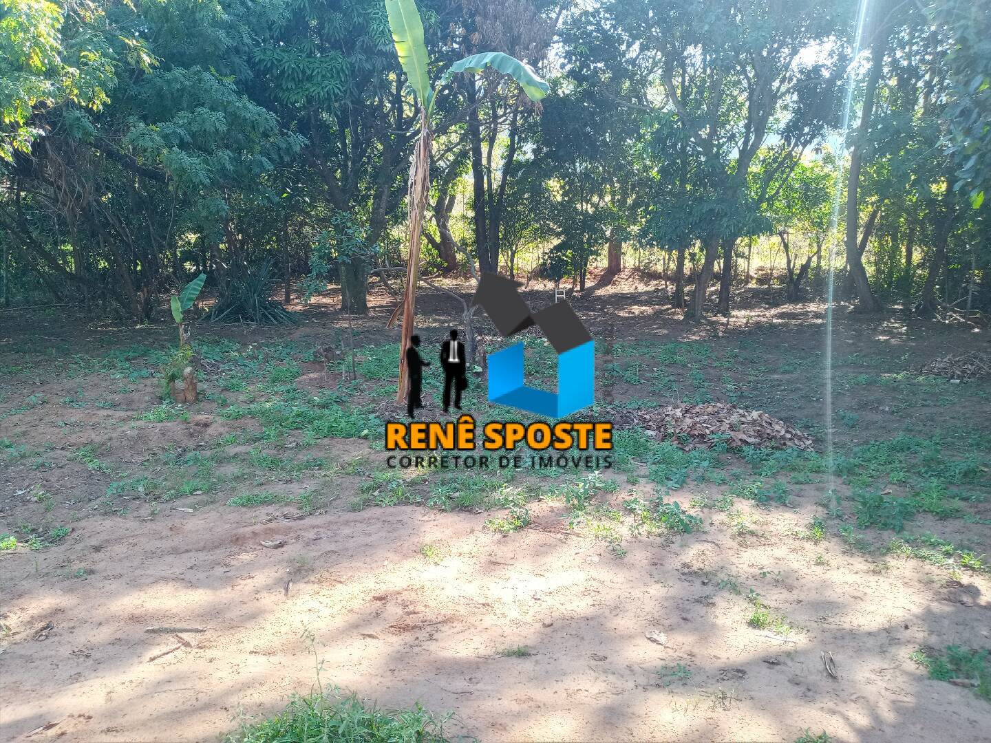 Chácara, 3 quartos, 5000 m² - Foto 13