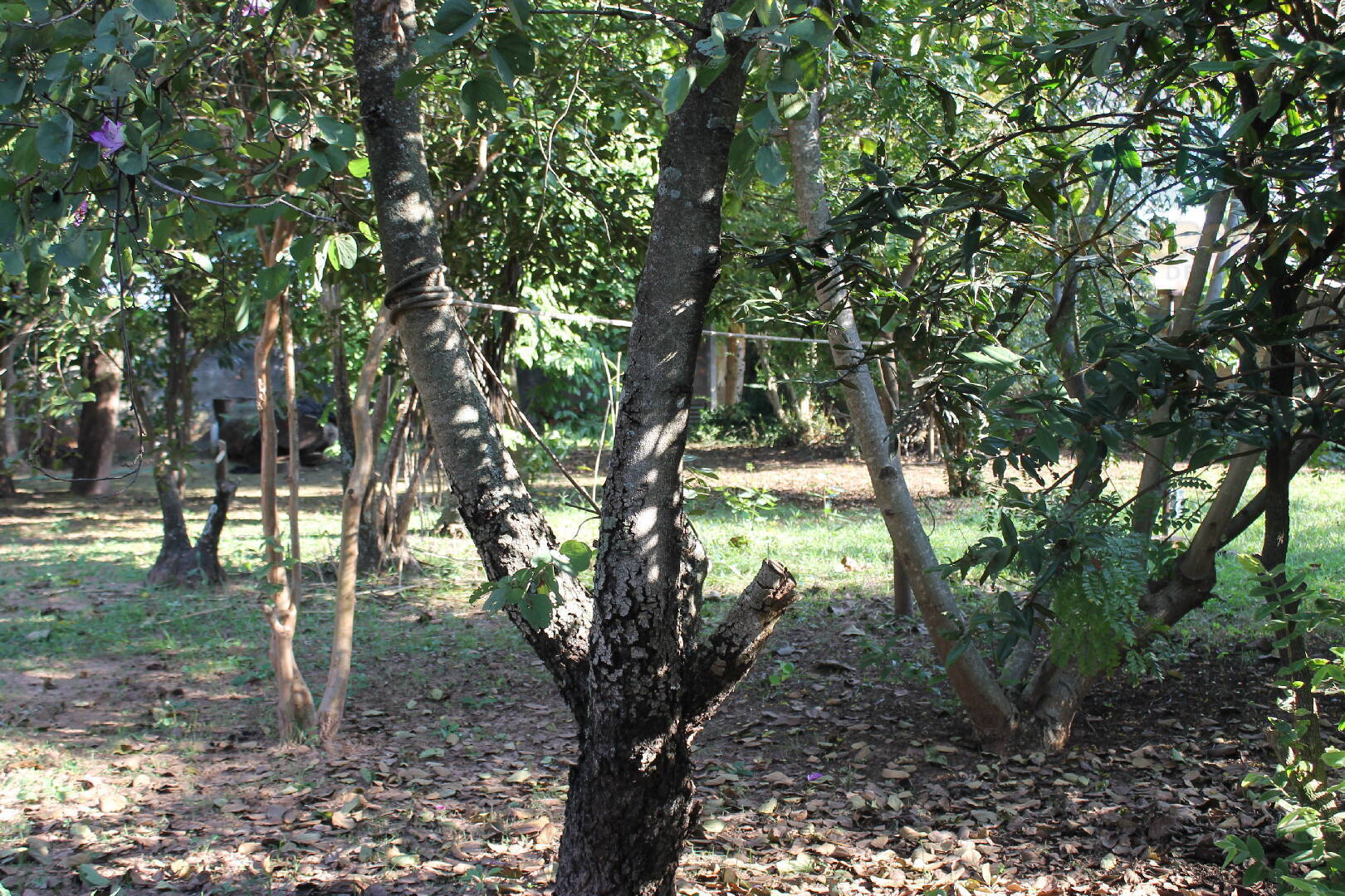 Casa, 3 quartos, 150 m² - Foto 15