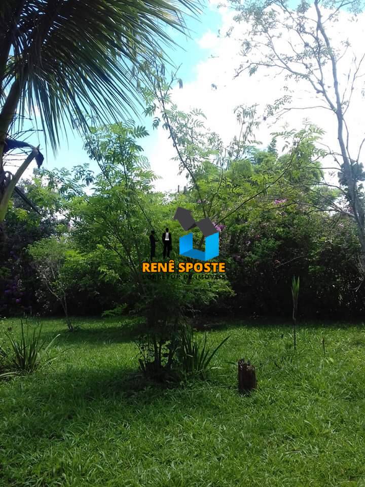 Chácara, 5 quartos, 5685 m² - Foto 6