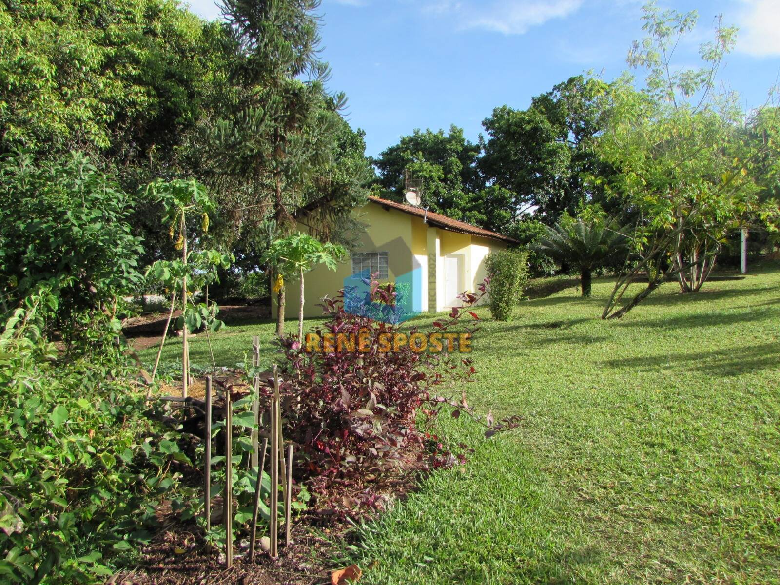 Casa à venda com 2 quartos, 446m² - Foto 1