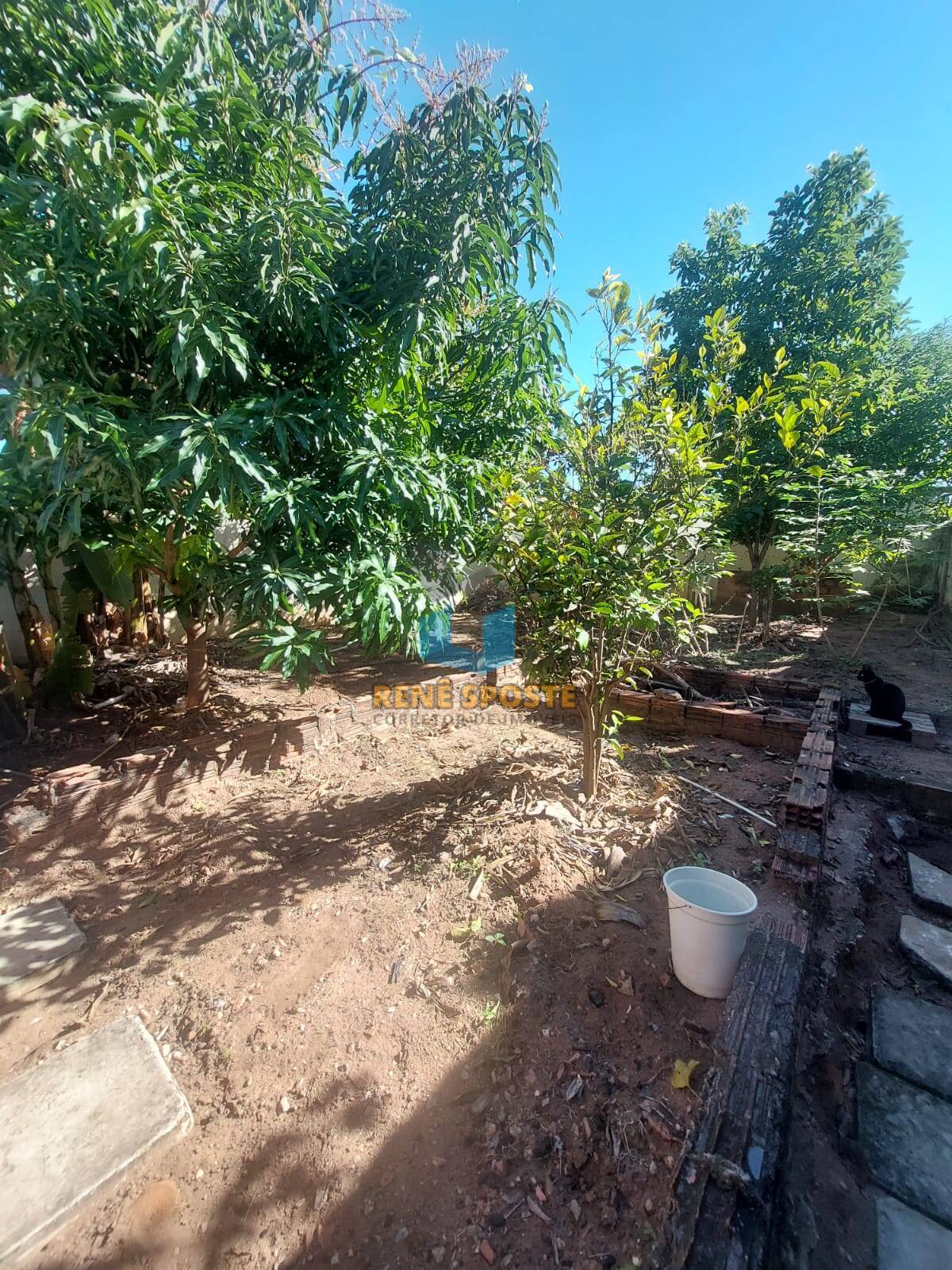 Casa, 3 quartos - Foto 14