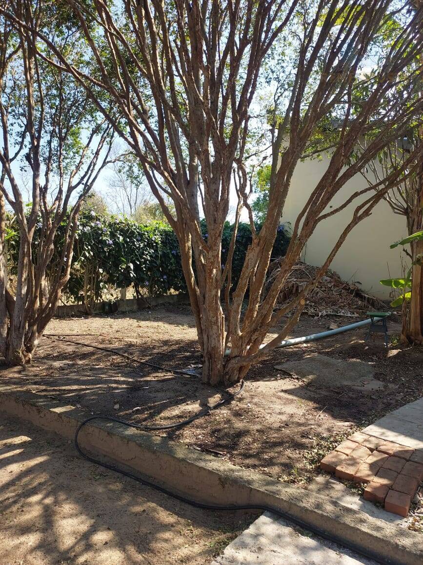 Chácara, 2 quartos - Foto 10